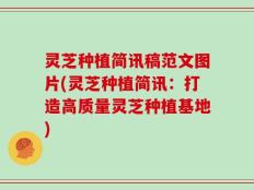 灵芝种植简讯稿范文图片(灵芝种植简讯：打造高质量灵芝种植基地)