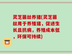 灵芝菌丝养猪(灵芝菌丝用于养殖猪，促进生长且抗病，养殖成本低，环保可持续)