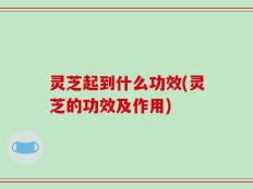 灵芝起到什么功效(灵芝的功效及作用)
