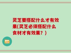 灵芝要搭配什么才有效果(灵芝必须搭配什么食材才有效果？)