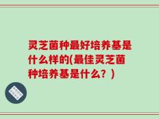 灵芝菌种最好培养基是什么样的(最佳灵芝菌种培养基是什么？)