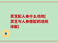 灵芝配人参什么功效(灵芝与人参搭配的功效详解)