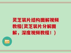 灵芝装片结构图解视频教程(灵芝装片分解图解，深度视频教程！)