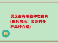 灵芝都有哪些种类图片(图片展示：灵芝的多种品种介绍)