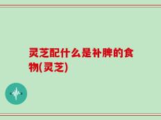 灵芝配什么是补脾的食物(灵芝)