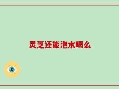 灵芝还能泡水喝么