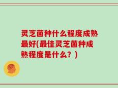 灵芝菌种什么程度成熟最好(最佳灵芝菌种成熟程度是什么？)