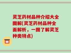 灵芝药材品种介绍大全图解(灵芝药材品种全面解析，一图了解灵芝种类特点)