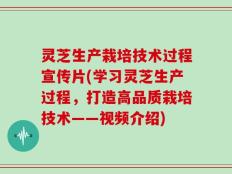 灵芝生产栽培技术过程宣传片(学习灵芝生产过程，打造高品质栽培技术——视频介绍)