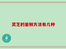 灵芝的鉴别方法有几种