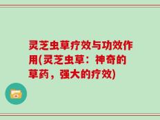 灵芝虫草疗效与功效作用(灵芝虫草：神奇的草药，强大的疗效)
