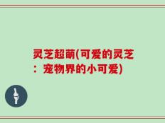 灵芝超萌(可爱的灵芝：宠物界的小可爱)