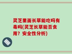 灵芝里面长草能吃吗有毒吗(灵芝长草能否食用？安全性分析)