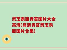 灵芝表面青苔图片大全高清(高清青苔灵芝表面图片合集)