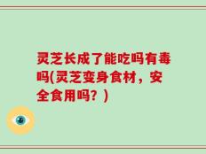 灵芝长成了能吃吗有毒吗(灵芝变身食材，安全食用吗？)