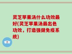 灵芝苹果汤什么功效最好(灵芝苹果汤最出色功效，打造强健免疫系统)