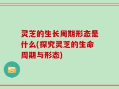 灵芝的生长周期形态是什么(探究灵芝的生命周期与形态)