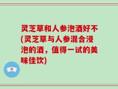 灵芝草和人参泡酒好不(灵芝草与人参混合浸泡的酒，值得一试的美味佳饮)