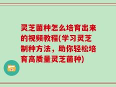 灵芝菌种怎么培育出来的视频教程(学习灵芝制种方法，助你轻松培育高质量灵芝菌种)