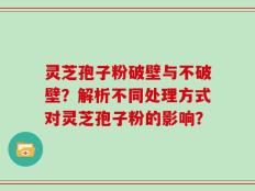 灵芝孢子粉破壁与不破壁？解析不同处理方式对灵芝孢子粉的影响？