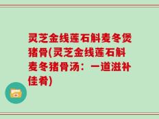 灵芝金线莲石斛麦冬煲猪骨(灵芝金线莲石斛麦冬猪骨汤：一道滋补佳肴)