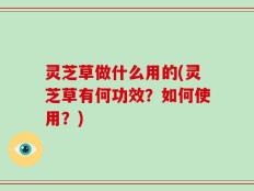 灵芝草做什么用的(灵芝草有何功效？如何使用？)