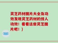 灵芝药材图片大全及功效发现灵芝药材的惊人功效！看看这些灵芝图片吧！)
