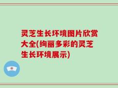 灵芝生长坏境图片欣赏大全(绚丽多彩的灵芝生长环境展示)