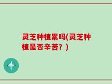 灵芝种植累吗(灵芝种植是否辛苦？)