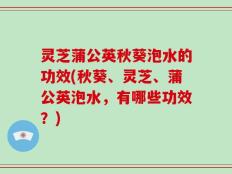 灵芝蒲公英秋葵泡水的功效(秋葵、灵芝、蒲公英泡水，有哪些功效？)