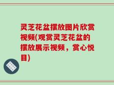灵芝花盆摆放图片欣赏视频(观赏灵芝花盆的摆放展示视频，赏心悦目)