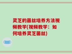 灵芝的菌丝培养方法视频教学(视频教学：如何培养灵芝菌丝)