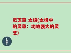 灵芝草 太极(太极中的灵草：功效强大的灵芝)