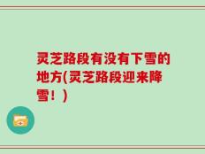 灵芝路段有没有下雪的地方(灵芝路段迎来降雪！)