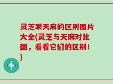 灵芝跟天麻的区别图片大全(灵芝与天麻对比图，看看它们的区别！)