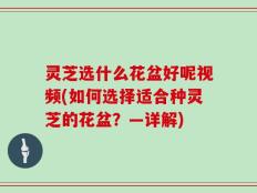 灵芝选什么花盆好呢视频(如何选择适合种灵芝的花盆？—详解)