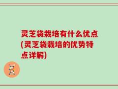 灵芝袋栽培有什么优点(灵芝袋栽培的优势特点详解)