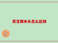 灵芝跟木头怎么区别