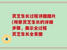 灵芝生长过程详图图片(观察灵芝生长的详细步骤，展示全过程  灵芝生长全景图