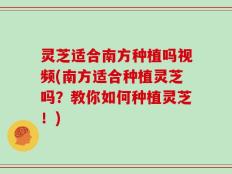 灵芝适合南方种植吗视频(南方适合种植灵芝吗？教你如何种植灵芝！)