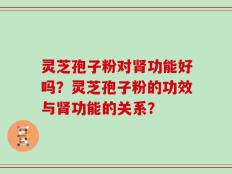 灵芝孢子粉对肾功能好吗？灵芝孢子粉的功效与肾功能的关系？