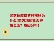 灵芝适应南方种植吗为什么(南方地区能否种植灵芝？原因分析)