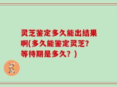灵芝鉴定多久能出结果啊(多久能鉴定灵芝？等待期是多久？)