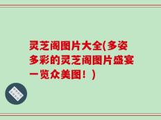 灵芝阁图片大全(多姿多彩的灵芝阁图片盛宴一览众美图！)