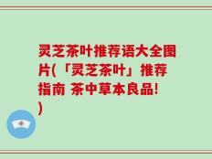 灵芝茶叶推荐语大全图片(「灵芝茶叶」推荐指南 茶中草本良品!)