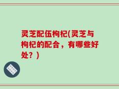 灵芝配伍枸杞(灵芝与枸杞的配合，有哪些好处？)