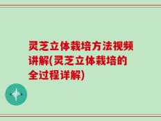 灵芝立体栽培方法视频讲解(灵芝立体栽培的全过程详解)