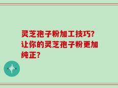 灵芝孢子粉加工技巧？让你的灵芝孢子粉更加纯正？