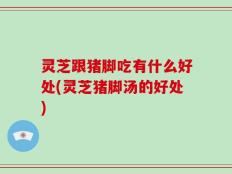 灵芝跟猪脚吃有什么好处(灵芝猪脚汤的好处)
