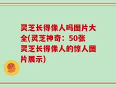 灵芝长得像人吗图片大全(灵芝神奇：50张灵芝长得像人的惊人图片展示)
